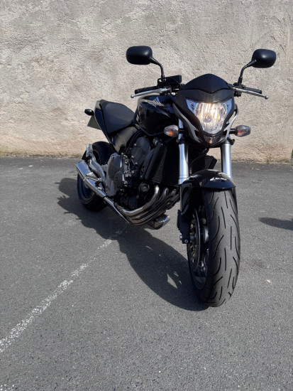 HORNET 600 CB 600 F - ALBI