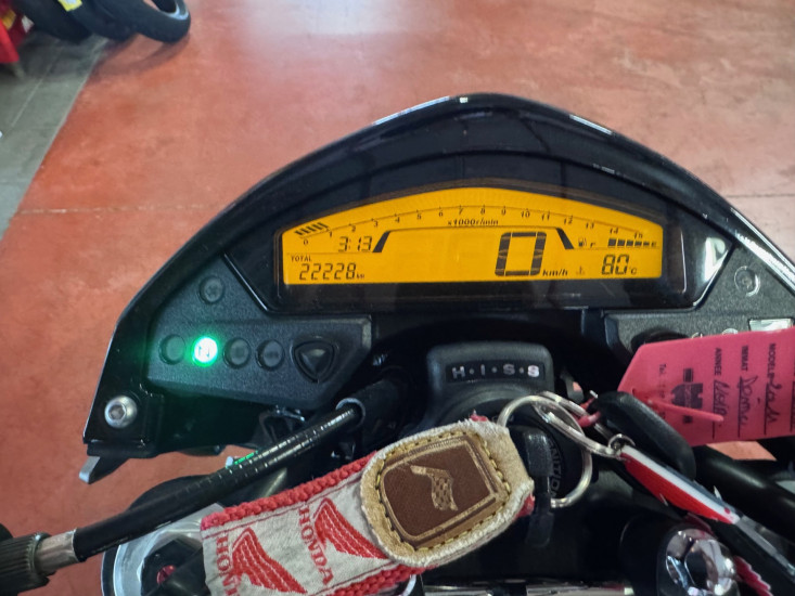 HORNET 600 CB 600 F - ALBI